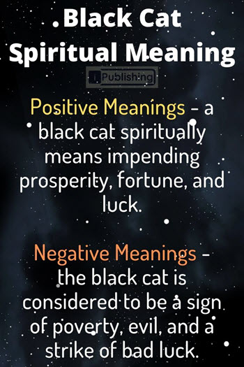 Black Cat Spiritual Meaning