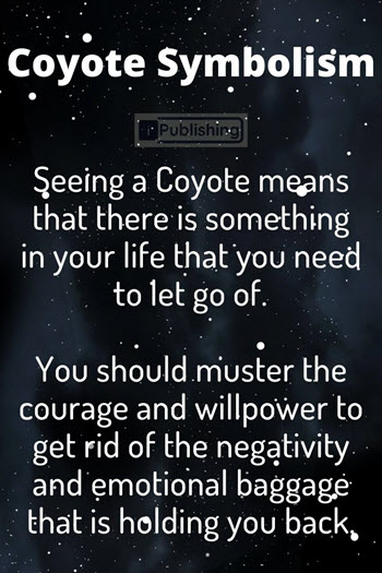 Coyote Symbolism