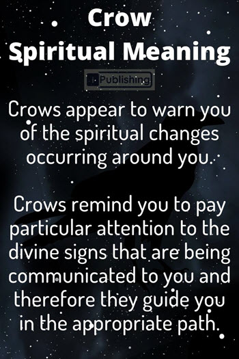 Crow Spiritual Meaning