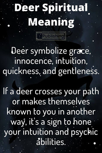 Deer Spiritual Meaning