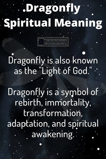 Dragonfly Spiritual Meaning