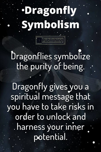 Dragonfly Symbolism