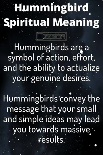 Hummingbird Spiritual Meaning