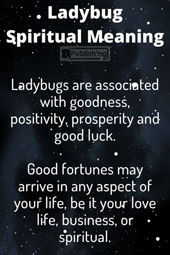 Ladybug Spiritual Meaning