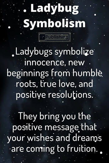 Ladybug Symbolism
