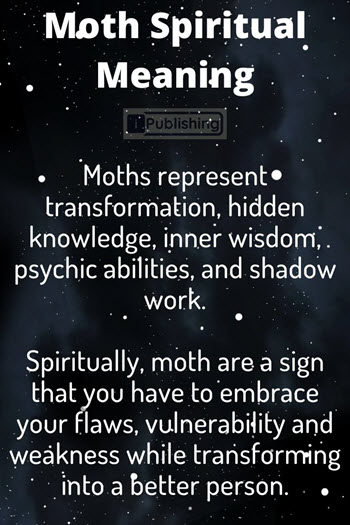 Moth Spiritual Meaning