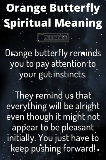 Orange Butterfly Spiritual Meaning