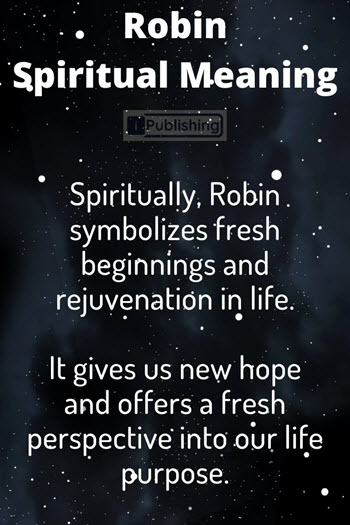 Robin Spiritual Meaning