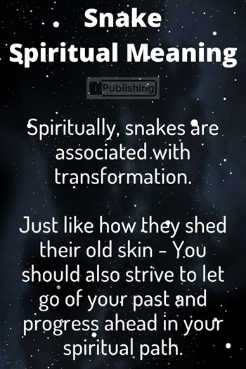Snake Spiritual Meaning