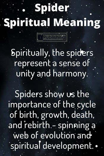 Spider Spiritual Meaning