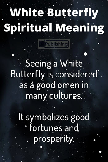 White Butterfly Spiritual Meaning