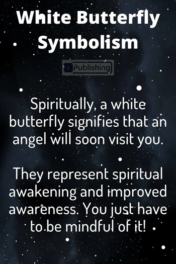 White Butterfly Symbolism