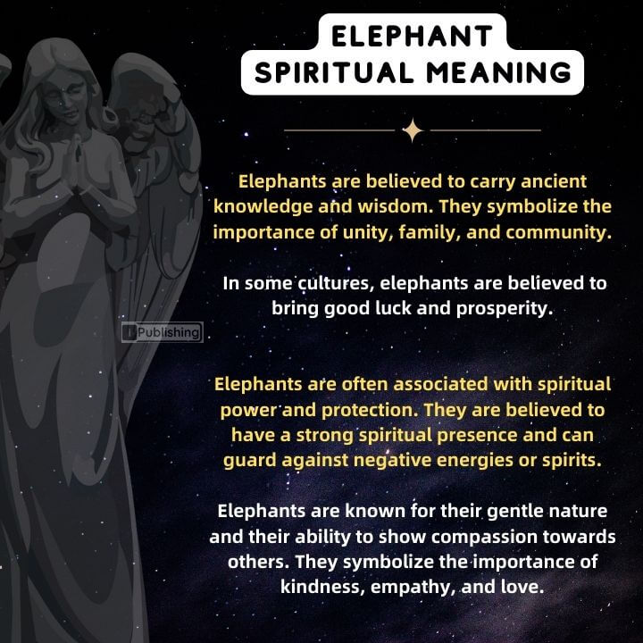 Elephant Spiritual Meaning