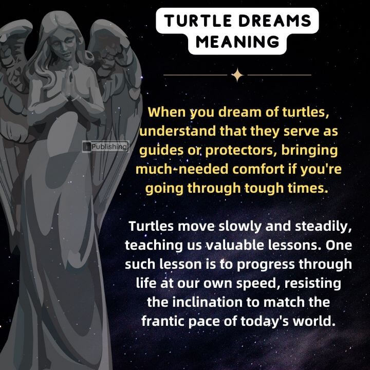 Turtle dream meaning