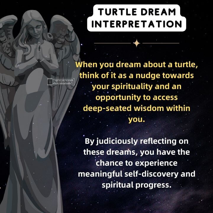 Turtle dreams interpretation