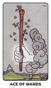 Ace of Wands Tarot Card
