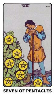 Seven of Pentacles Tarot Card
