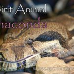 Anaconda as Spirit Animal