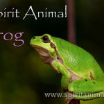 Frog as Spirit Animal