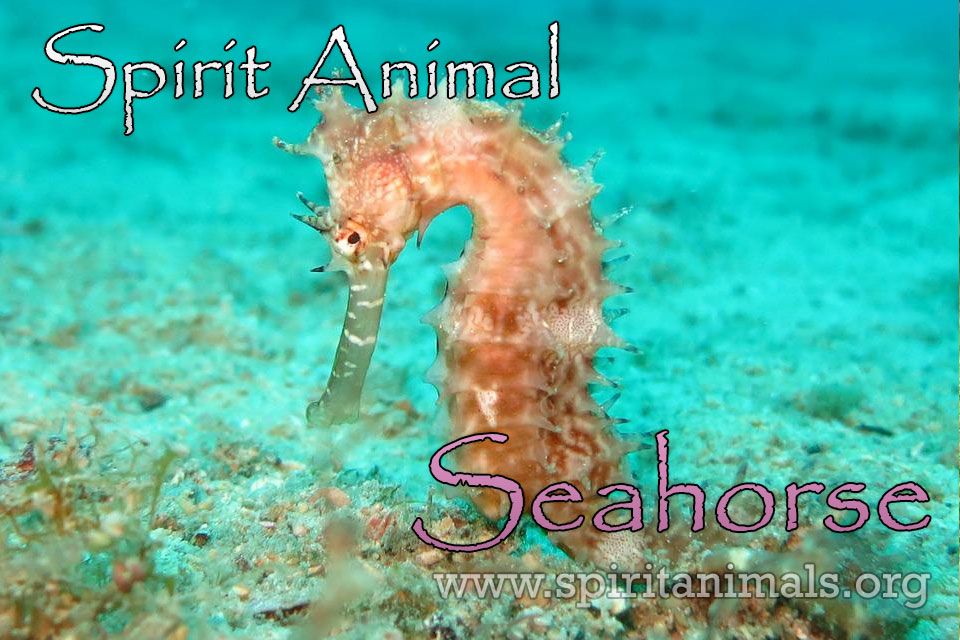 Seahorse as Spirit Animal