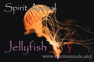 Jellyfish as Spirit Animal