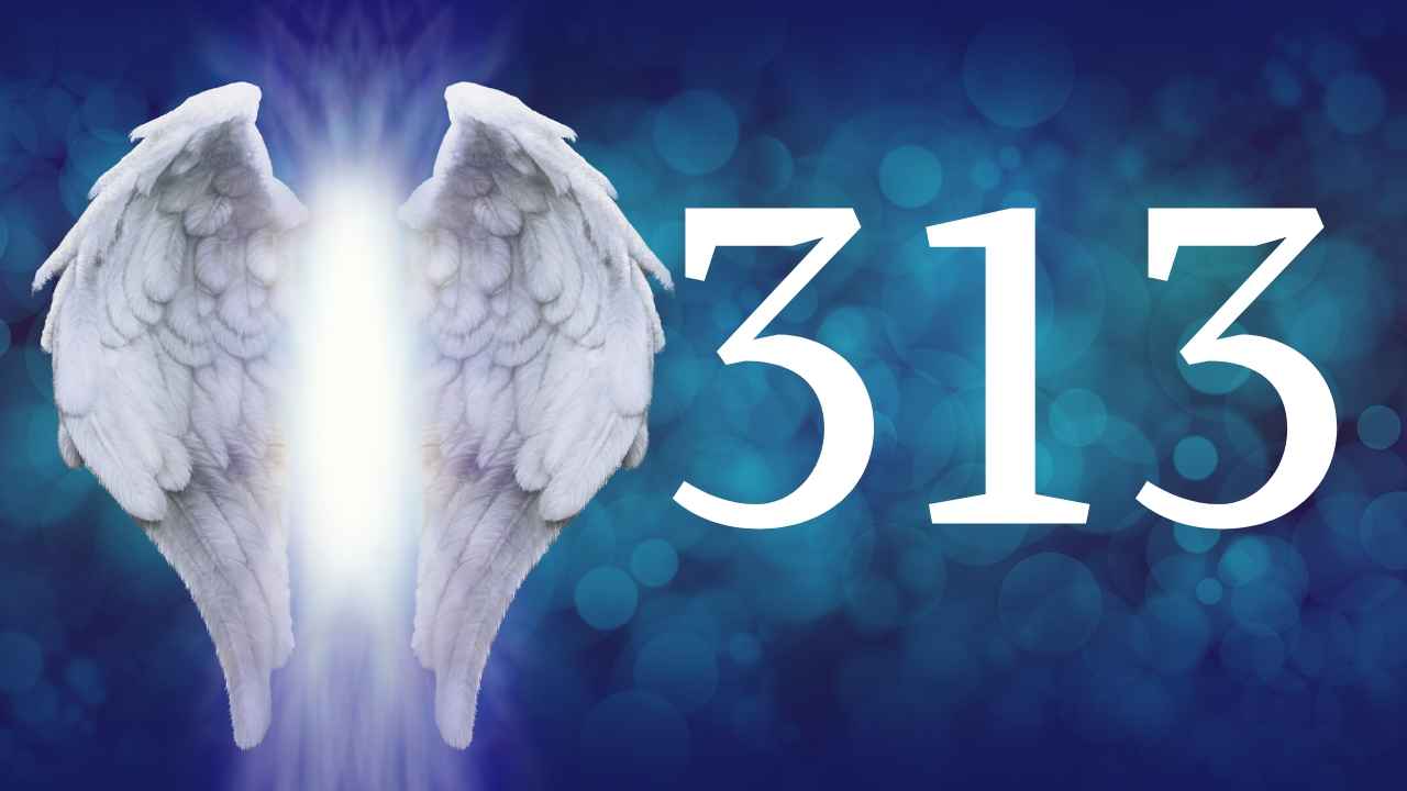 313 Numerology: Here’s WHY You’re Seeing Angel Number 313!