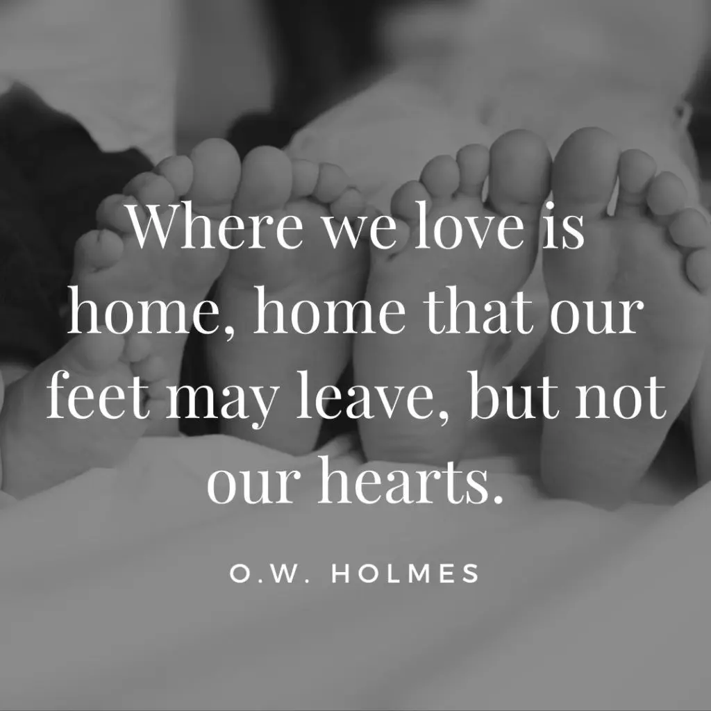 old soul quotes o.w. holmes