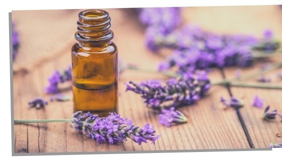 Lavender Essential Oils For The Throat Chakra