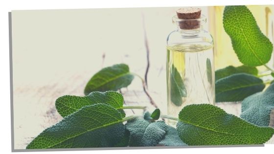 Sage Essential Oils For The Throat Chakra