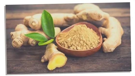 Essential oil Ginger