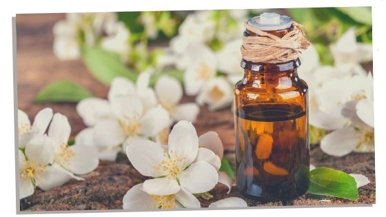 Jasmine essential - heart chakra essential oil 