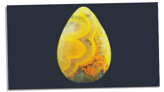 Bumblebee Jasper