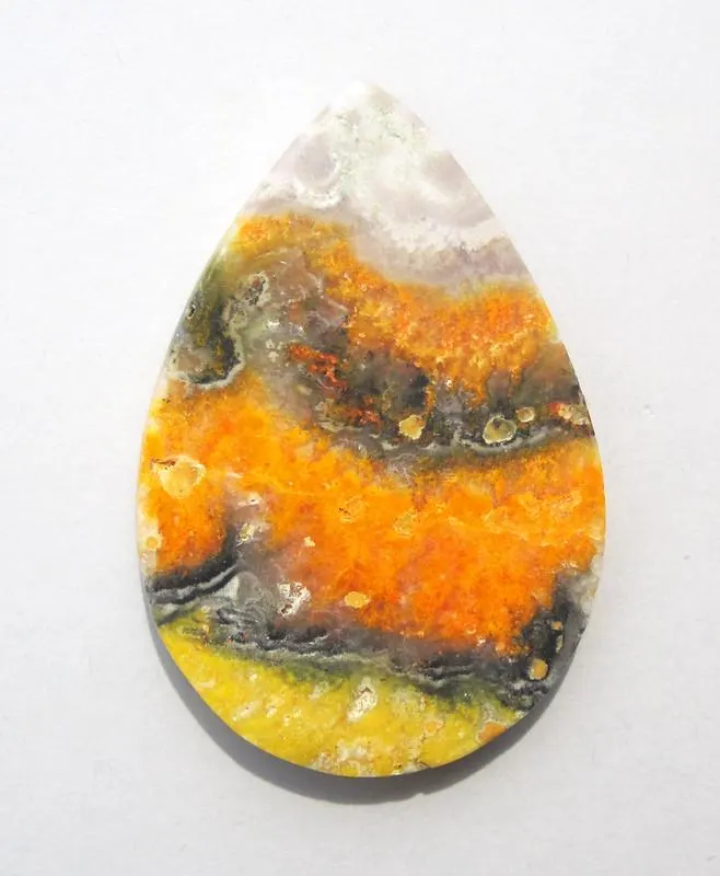 Picture of Bumblebee Jasper 