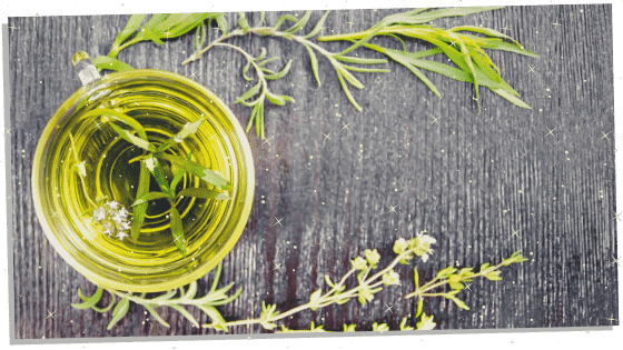 Spiritual herb Rosemary 