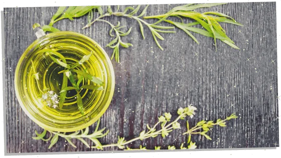 Spiritual herb Rosemary 