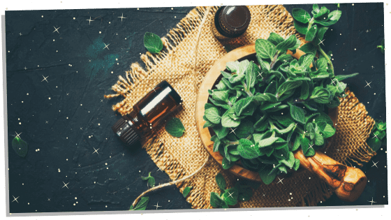 Oregano in a bowl