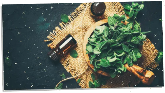 Oregano in a bowl