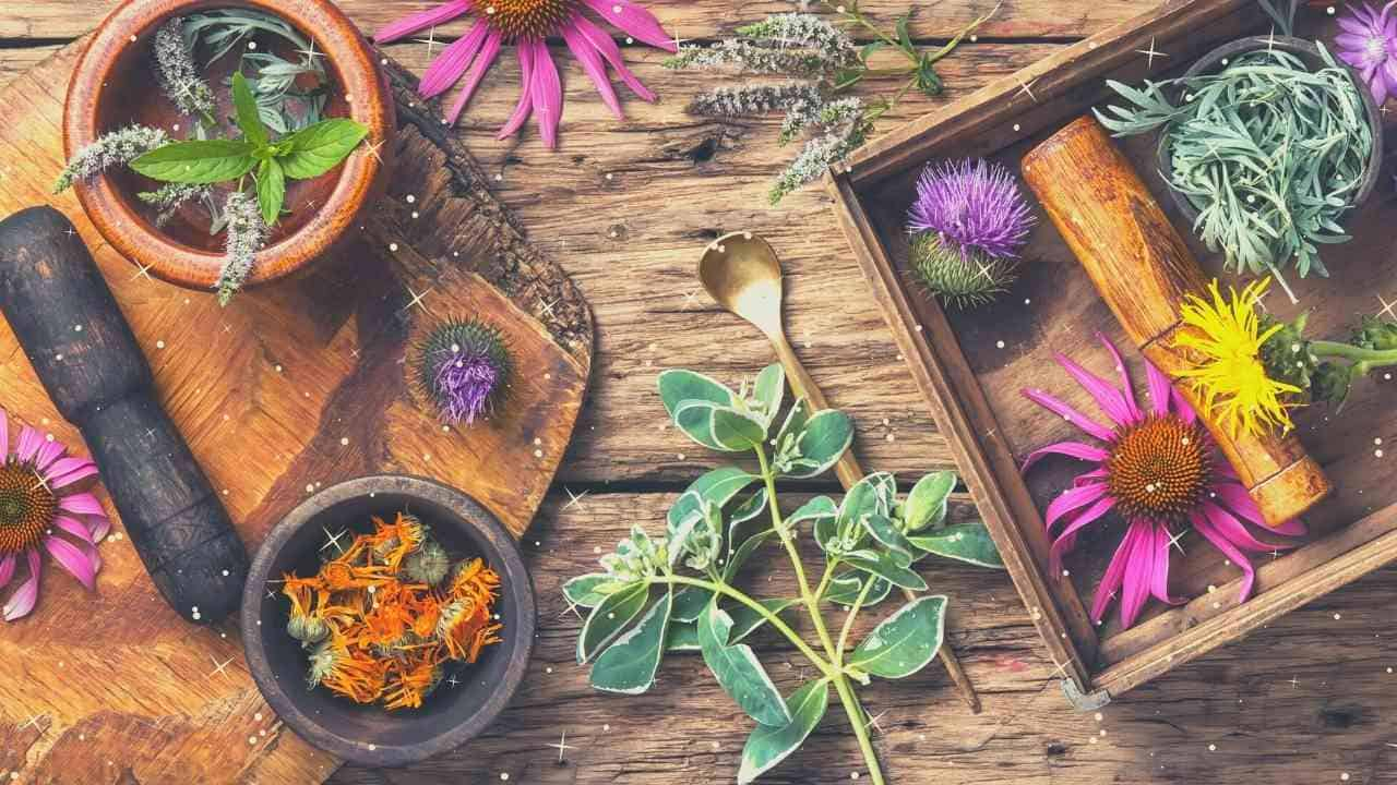 Spiritual Herbs: 6 Amazing Herbs to Use in Your Spiritual Practice