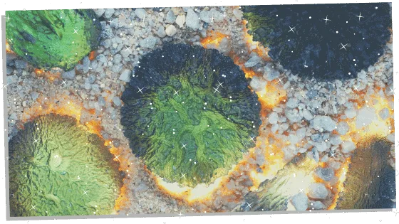 Pieces of Moldavite 