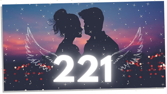 221 meaning for twin flames