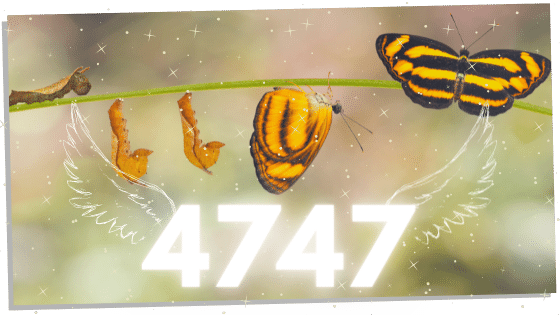 Butterfly and 4747