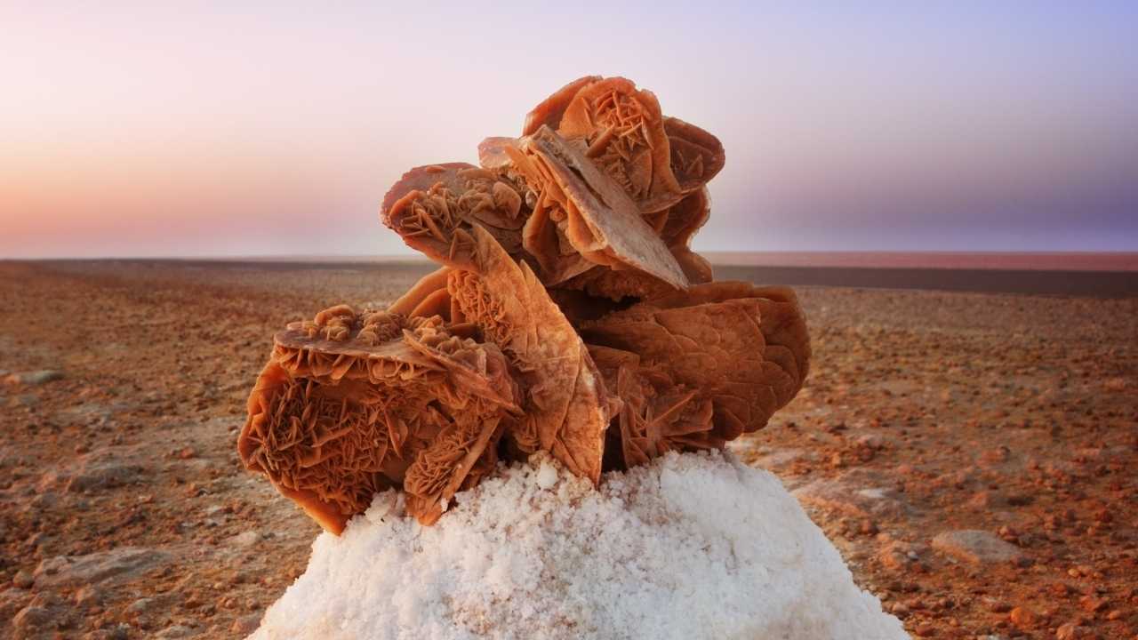 Desert Rose Crystal: 14 Healing Properties, Benefits & Uses