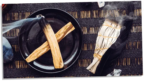 comparing palo santo vs sage