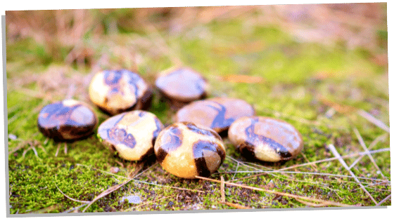 Spiritual Meaning Of Septarian