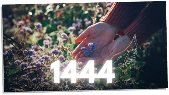 A symbolic meaning of 1444