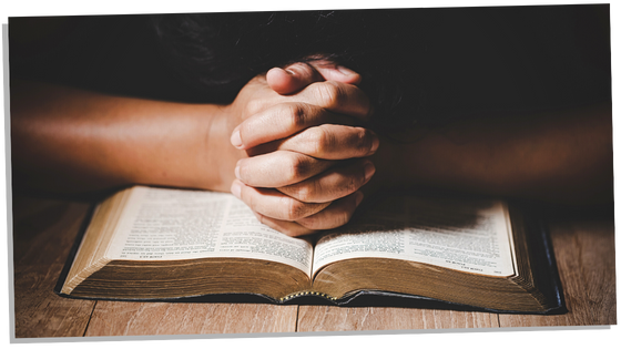 Person praying from a book