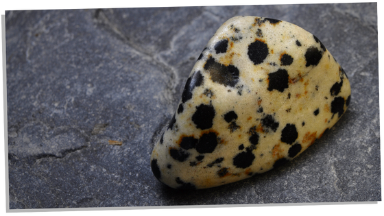 Dalmatian jasper uses