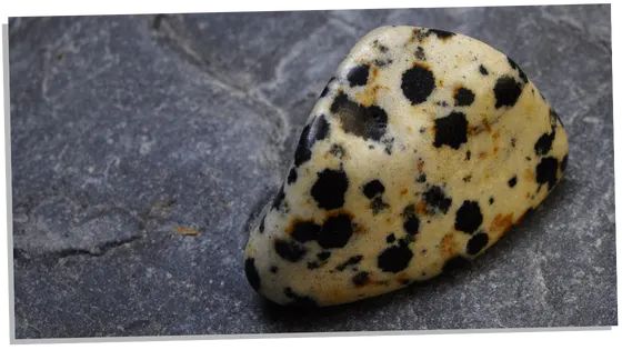 Dalmatian jasper uses