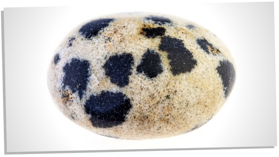 Affirmations to use with Dalmatian Jasper