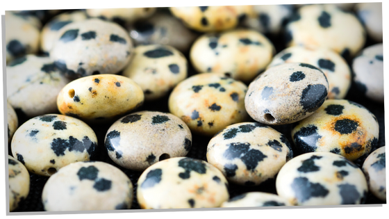 Dalmatian jasper meaning